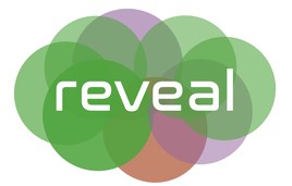 Final conference – My e-Start joins forces with the REVEAL conference